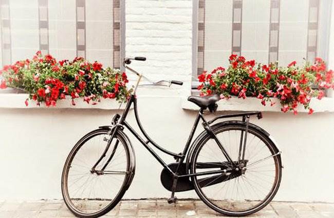 vintage-bicycle_l