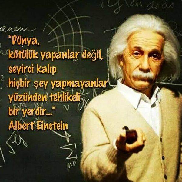 Albert Einstein 2