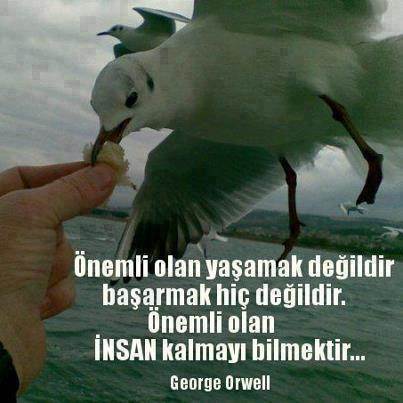 George Orwell