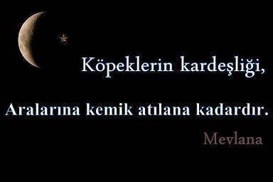 Mevlana