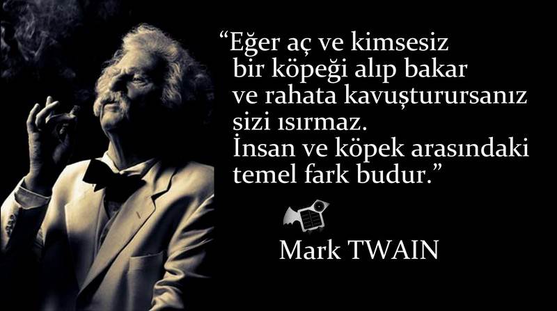 marktwain