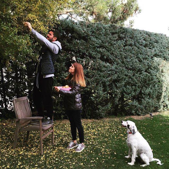 11910516_675398925829908_1337508894_n